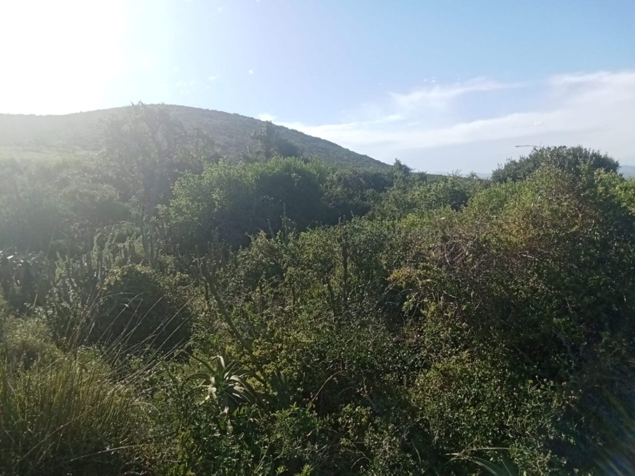 0 Bedroom Property for Sale in Alexander Park Industrial Eastern Cape